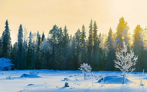冷极村有雪的冬天路在芬兰欧洲拉普兰景观骑行期间沿高速公路的森林白雪皑的旅行冷车道在北罗瓦涅米村的芬兰高速公路上行驶背景
