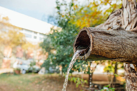 天然木树喷泉山泉水从岩石小溪的木制排水沟中流出在自然公园或花园中用木材或树木雕图片
