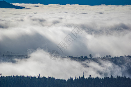 秋天喀尔巴阡山雾覆盖的山脉和森林高图片