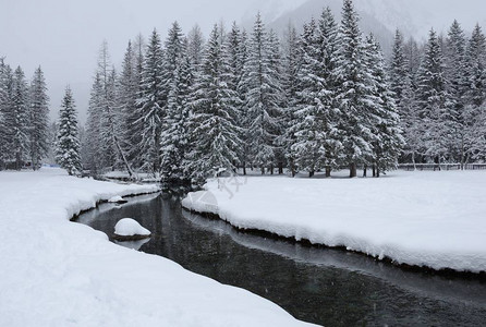 寒冷的溪流在雪地草图片