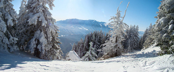 与满雪的山峰相伴的阳光冬季日图片