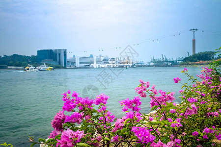 从圣淘沙岛看新加坡的全景图片