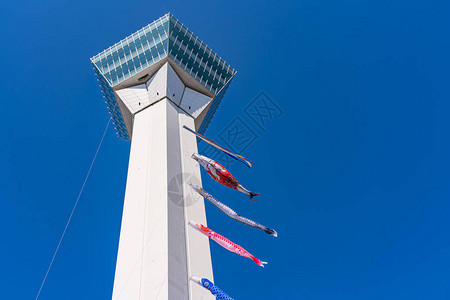 春樱花开全盛季阳光明媚的青蓝天空美丽的恒星塑造了日本北海道哈图片