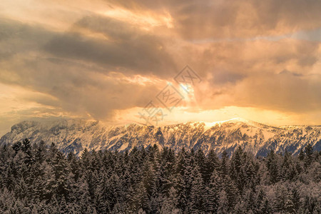 在冬季雪山拉克斯下奥地利和前方的森林上图片