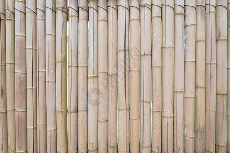 新加坡用干竹秆制成的无缝背景图片