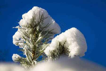 天空中的雪与云图片