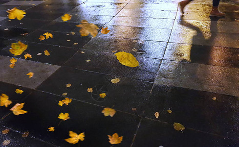 秋天在塔林老城晚上街边咖啡馆在城市浅粉色伞雨季街边灯光模糊城市人天气景观背景图片