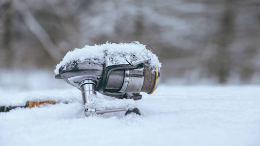 雪背景上的钓鱼卷轴图片