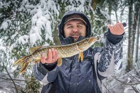 一只渔夫在冬季钓鱼时捕图片