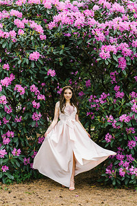 一个穿着长盛装的女孩穿着罗多登德龙的颜色在春图片