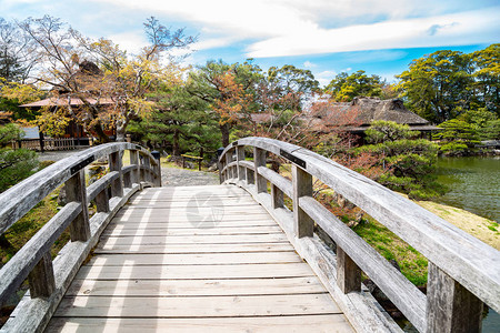 在日本志贺的日本传统花图片