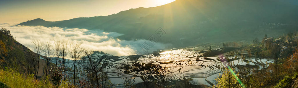 元阳的田阳光明媚的圆江Yu图片