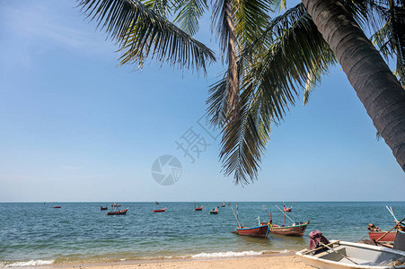 有椰子树的热带海和滩上的渔船图片