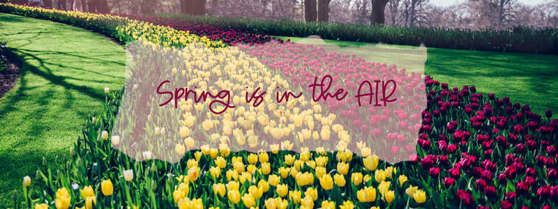 春天是在框架中的空中短语春天开花的郁金香花坛世界上最大的花园之一图片