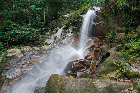 瀑布插画雨林深处的瀑布溪流背景