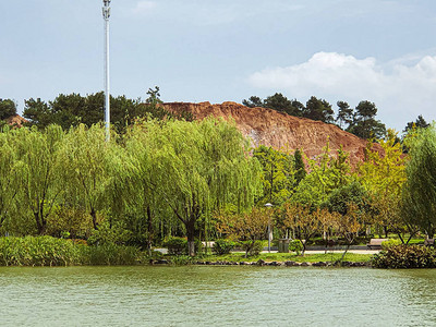 湖河岸边的树木图片