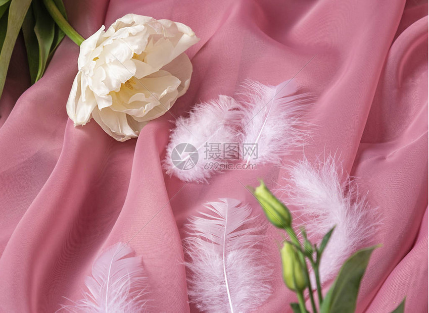 粉红色花朵鲜芽和白色羽毛在微妙图片