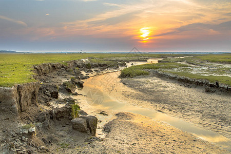 荷兰弗里斯兰州瓦登阿梅兰岛盐沼泽地的潮流河道和自然图片