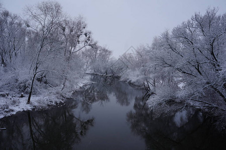 冬天的河流和白霜覆盖的树枝图片