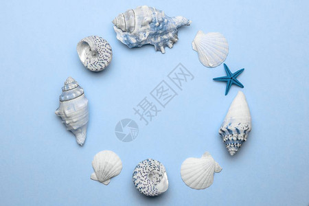 时尚的海蓝宝石浅蓝色柔和色海贝壳图片