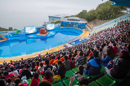 海洋公园香港主题公园OceanParkHongKong提供图片