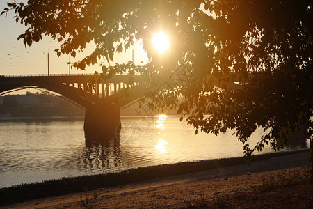 在桥的背景中的一棵树这棵树在日落时被太阳照亮远距离模糊图片