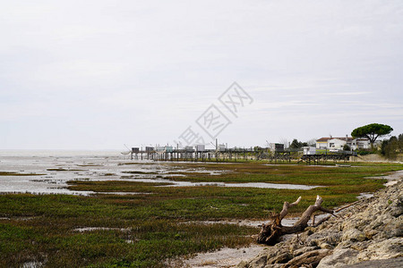 滨海圣宫风景大西洋卡雷莱钓鱼浮桥图片