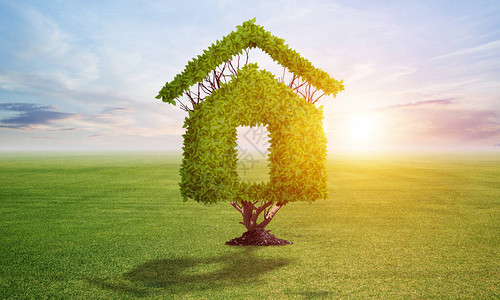 房子形状的绿色植物生长在绿色的田野与夏天草甸和蓝天的自然风景绿色环保技术出售和出租不动产房图片