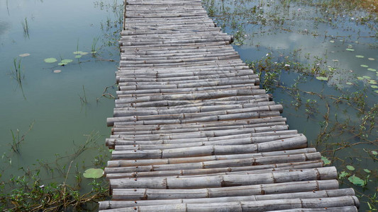 桥是用池塘里的竹子做的图片