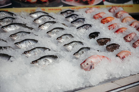 冰中的鲜鱼柜台上的鱼图片