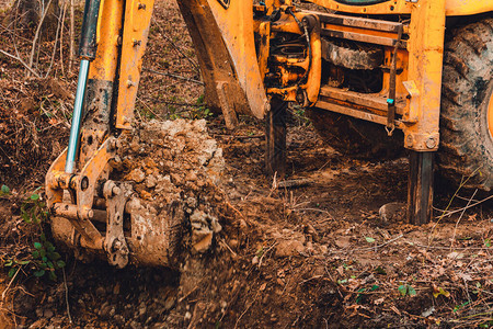 挖掘机将土壤挖入森林并根植树木根部图片