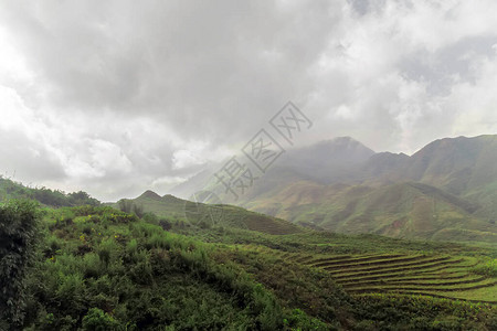 RollingHills鸟瞰山峰越南稻田图片