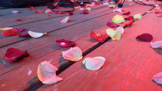 红木地板上的玫瑰花瓣图片