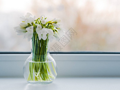 窗台上靠近窗户的玻璃花瓶里放着一束美丽的雪花莲图片