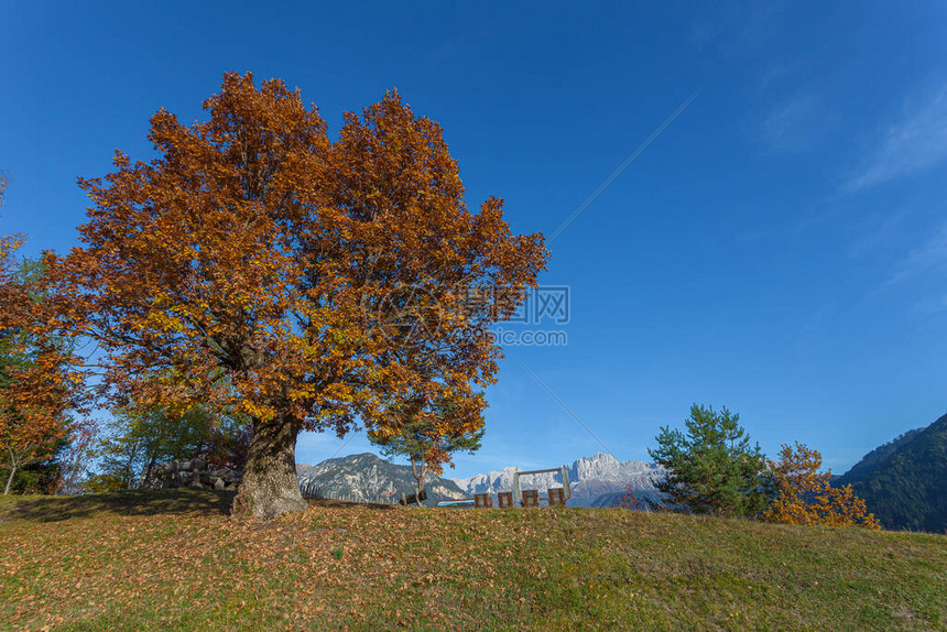 与白云岩CatinaccioRosengarten山峰在背景中图片