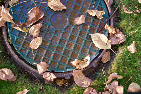 草地上生锈的井盖干枯的落叶图片