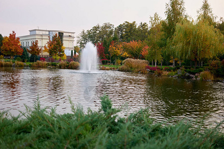 秋天公园池塘和树木的景观图片