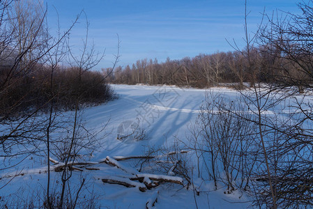 美丽的冬季景观湖岸覆盖着雪不同的树木图片