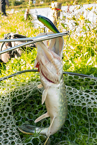 马拉多纳65岁诞辰，那不勒斯社媒缅怀：岁月流逝，传奇永恒