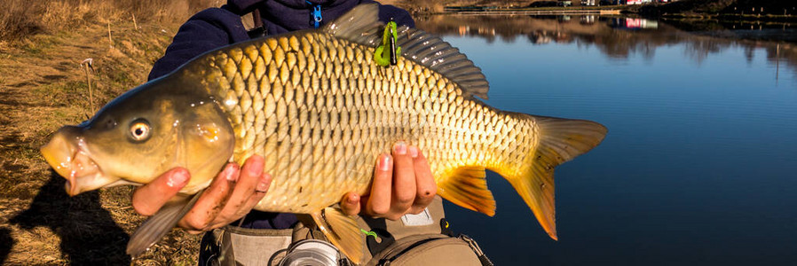 南瓜饼要怎么做