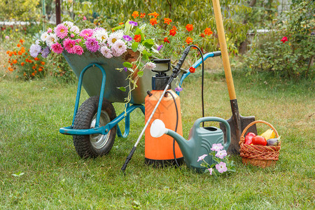 夏天花园下班后的早晨带切花的独轮车喷壶花园压力喷雾器铁锹和柳条篮图片