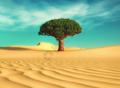 沙漠中的叶树全球升温概念这图片