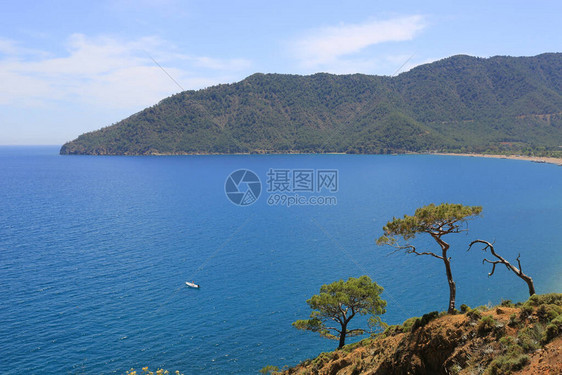 Landsacpe与松树在海面背景的山坡上土耳其地中图片