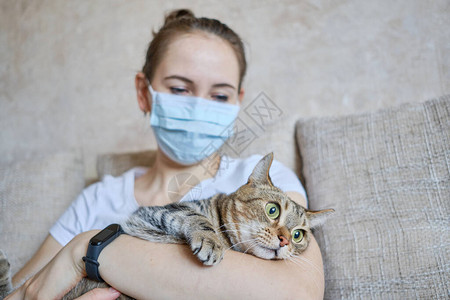 戴着医疗面具的女孩在家里孤独地自闭照顾猫图片
