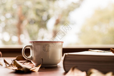 白书和咖啡杯周围有树叶图片
