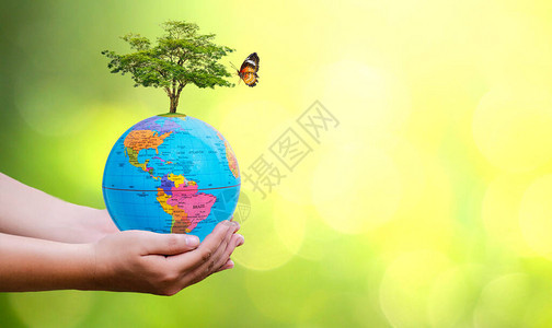 概念拯救世界拯救环境世界在绿色散景图片