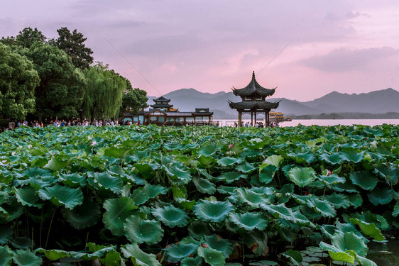 美丽的西湖风光杭州的日落景观图片
