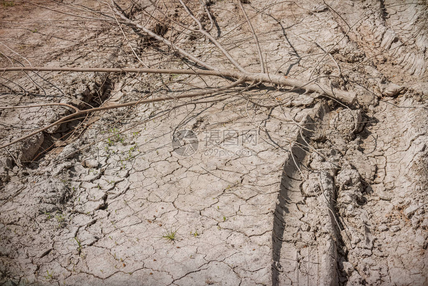 干涸的湖底和倒下的枯树欧洲的全球变暖气候