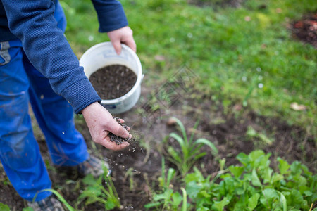 利用生物颗粒化肥对花园施肥以改善园背景图片
