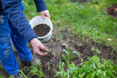 利用生物颗粒化肥对花园施肥以改善园图片
